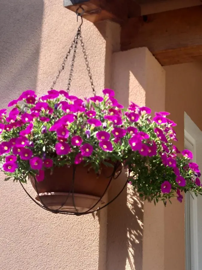 Apartments Dora Πόρετς