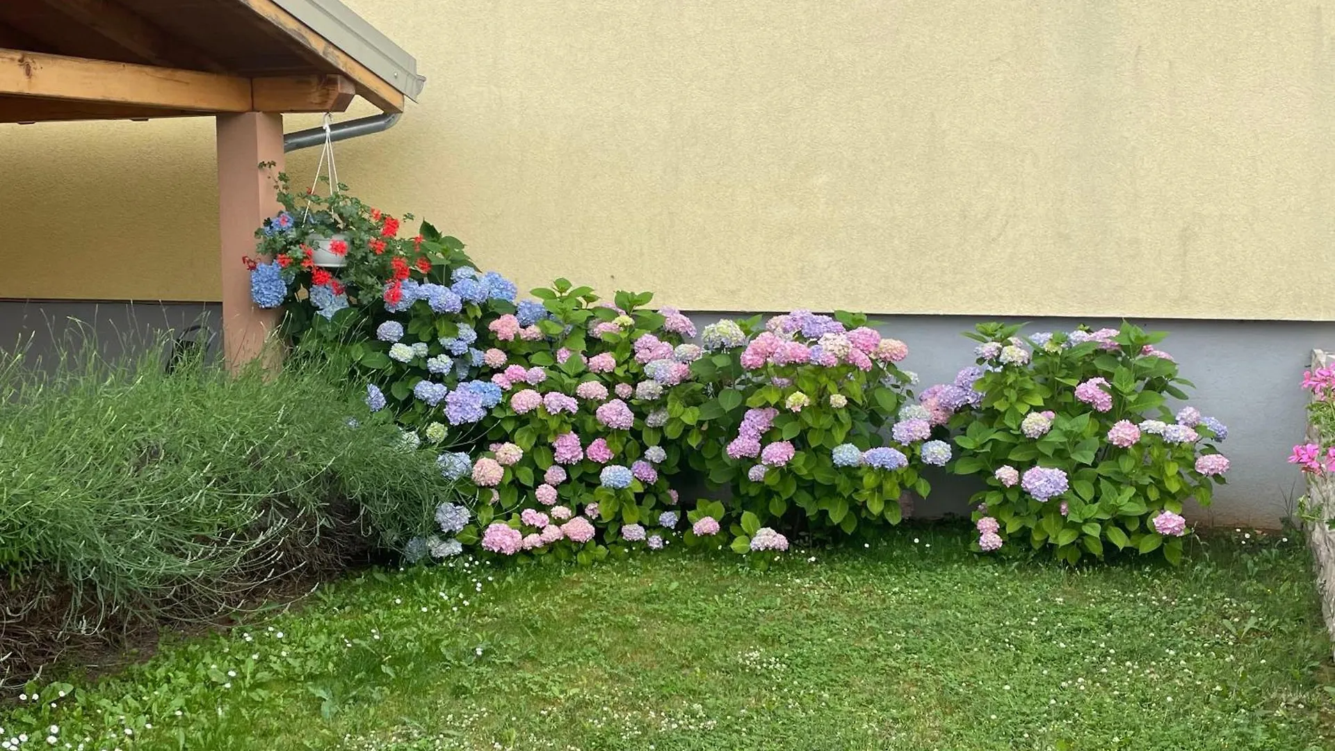 Apartments Dora Porec Croatia