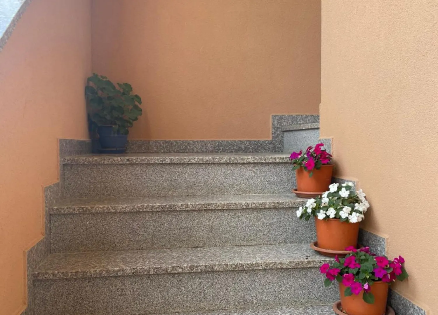 Apartments Dora Poreč